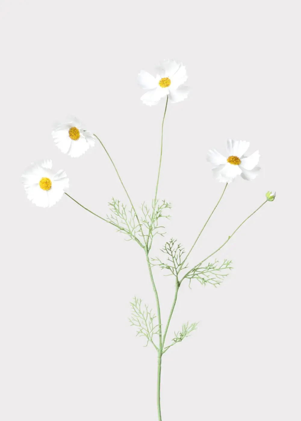 Artificial Cosmos Daisy Wildflowers Floral Stem