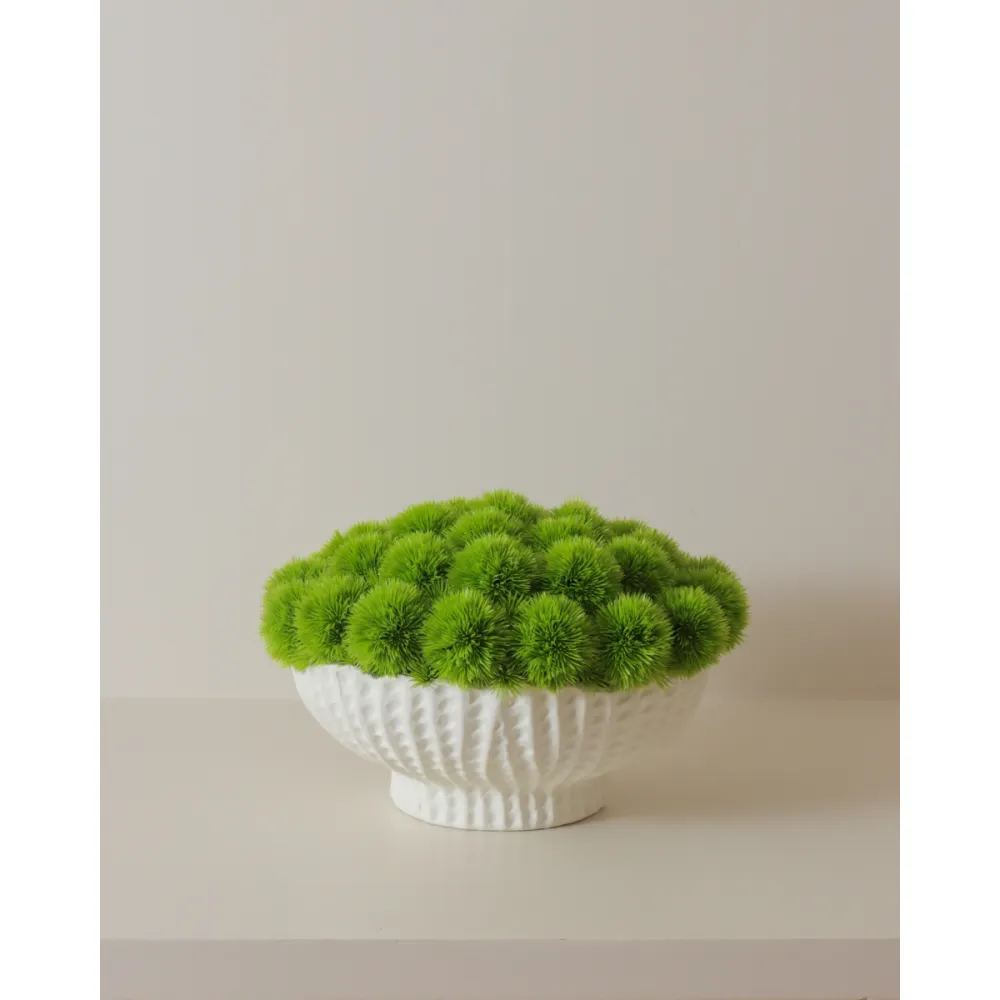 Pebbled Pedestal Allium Arrangement