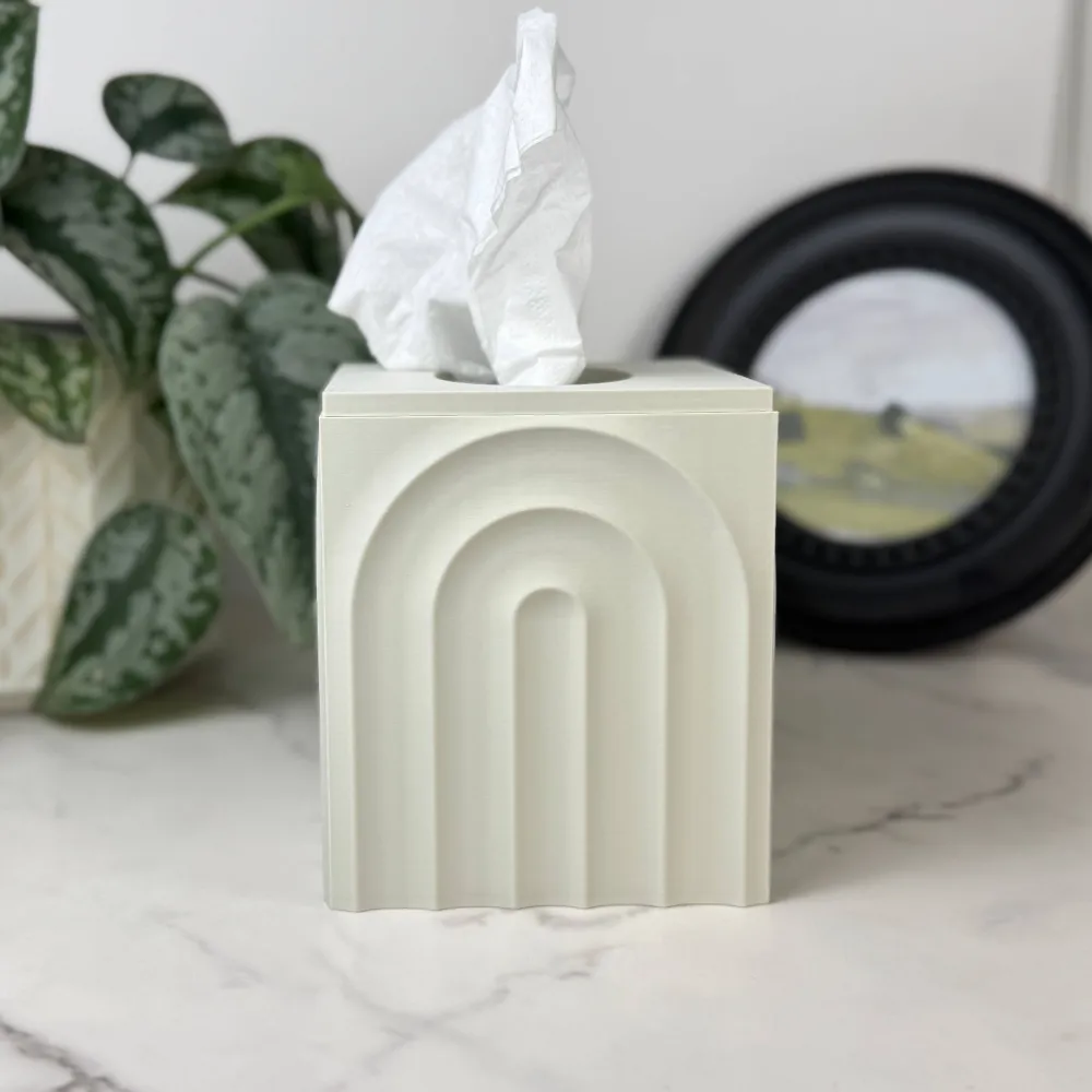 Natural Style Interior Piece Tissue Box