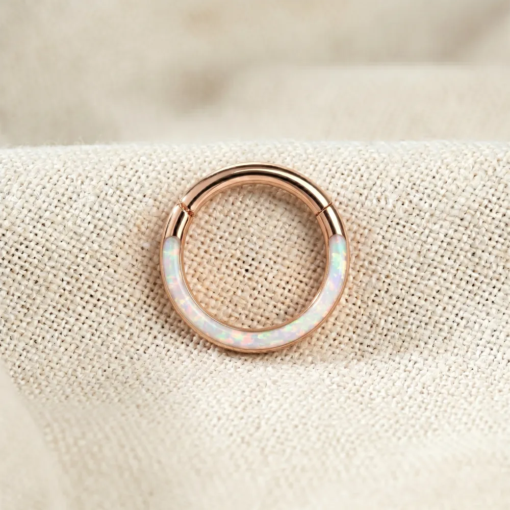 Contemporary Surgical-Steel Hinged Hoop Ring