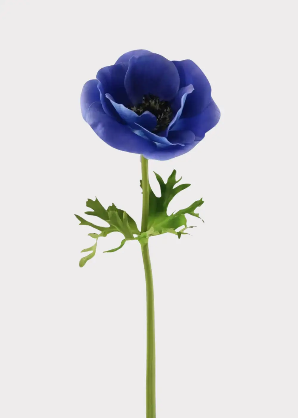 Artificial Poppy Anemone Floral Stem