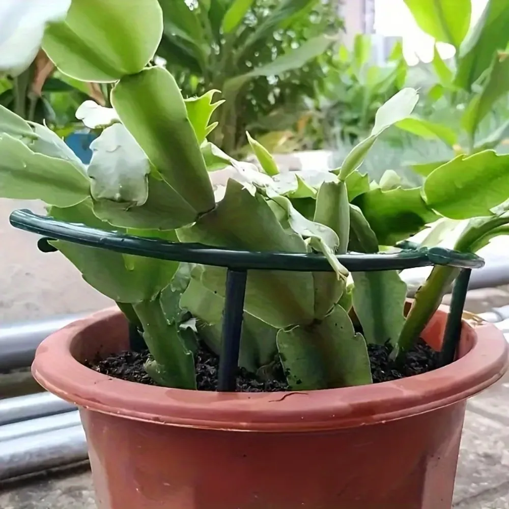8 Pcs Potted Plant Support Stakes