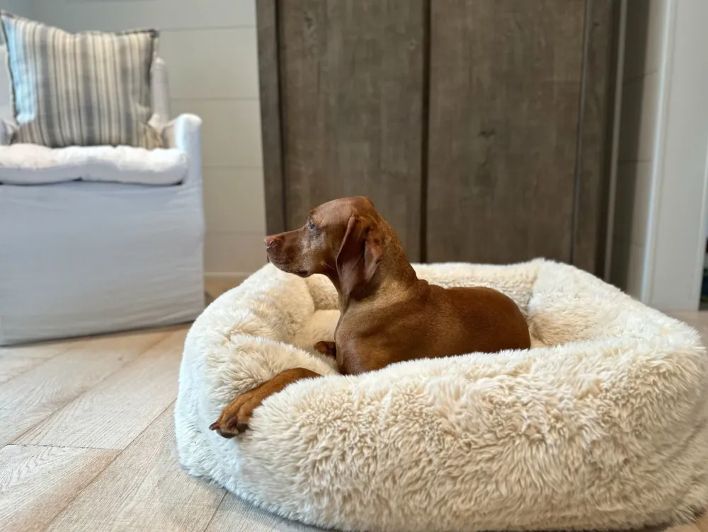 Plush Secure Flexible Pet Bed