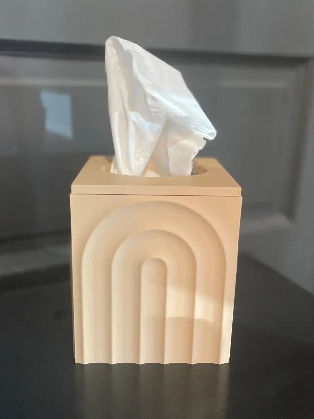 Natural Style Interior Piece Tissue Box
