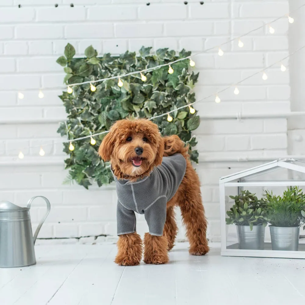 Classic Easy Dog Sweater