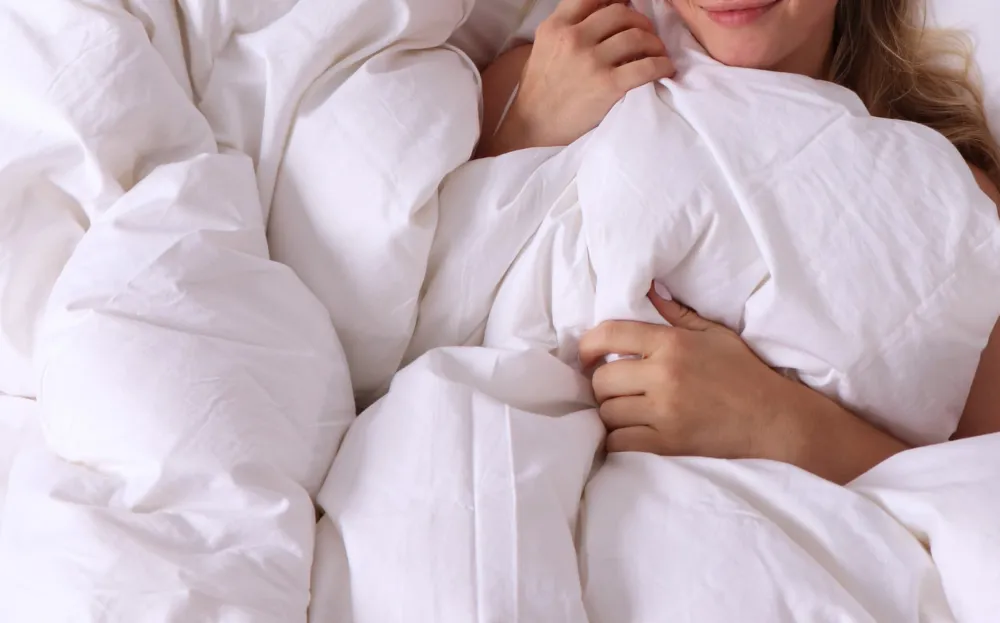 Down Alternative Duvet Insert