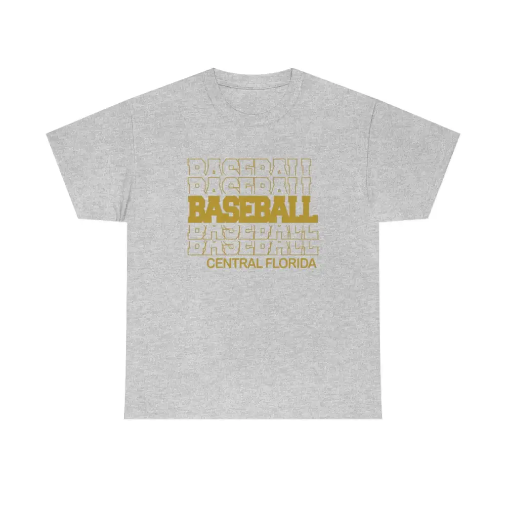 Baseball Central Florida in Modern Stacked Lettering