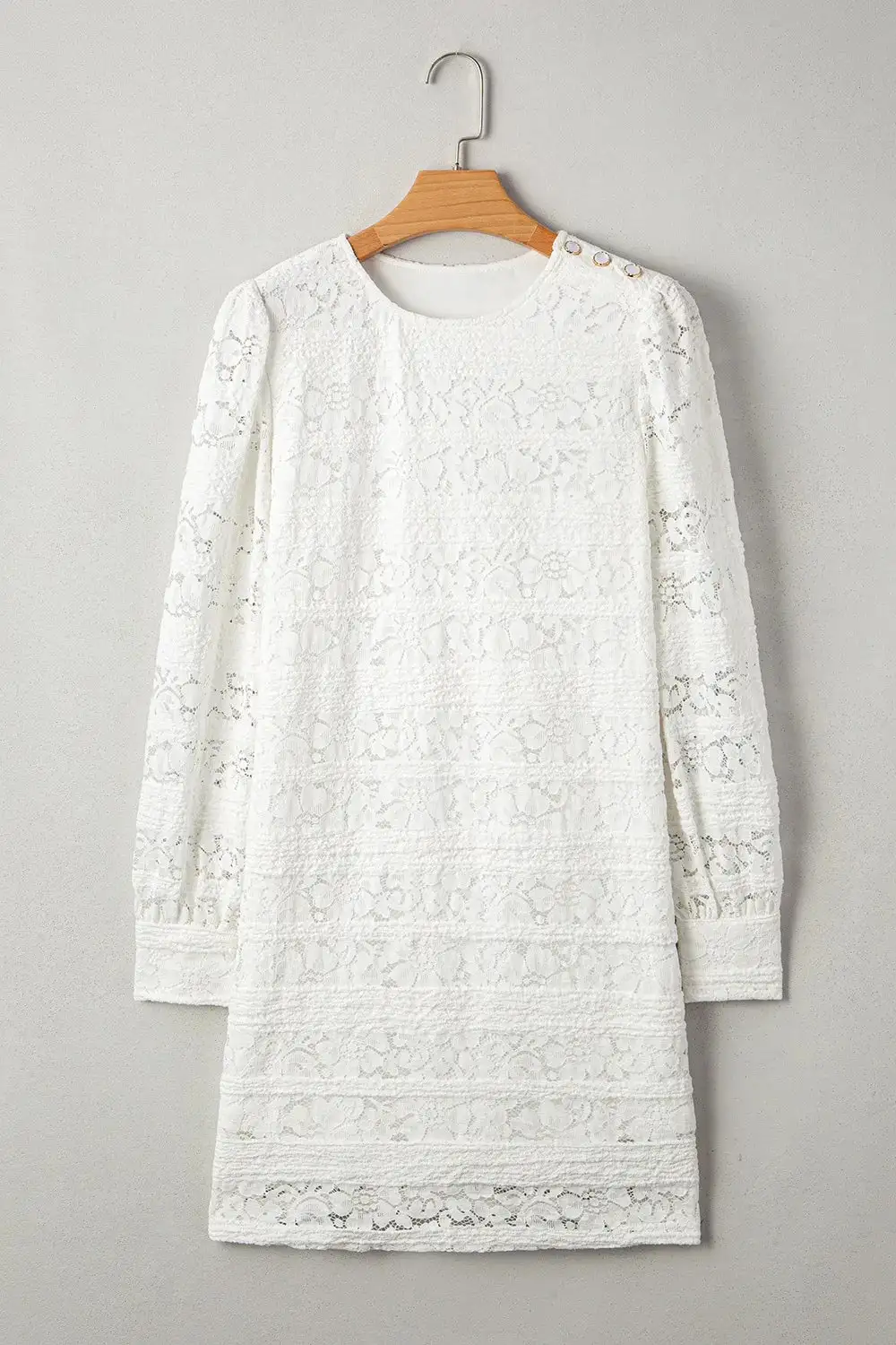 Balanced Detail Lace Long Sleeve Mini Dress