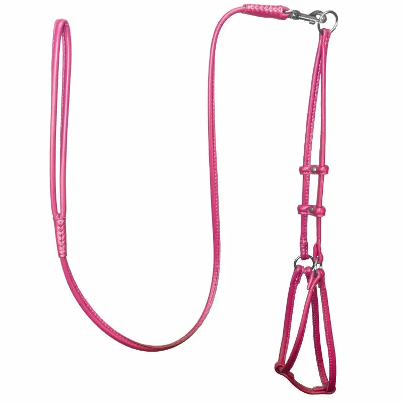 Adjustable Decorative Relaxed Dog Harness