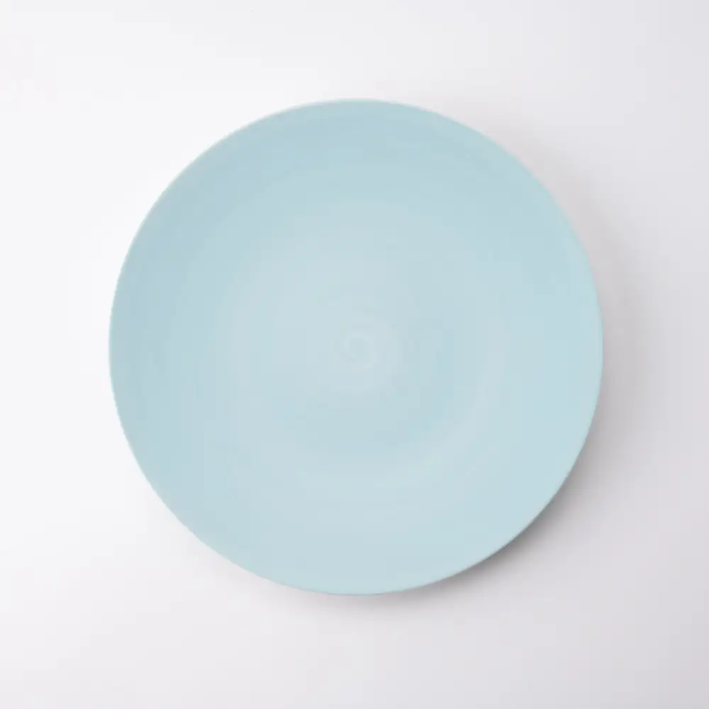 Modern Round Porcelain Dinner Plate