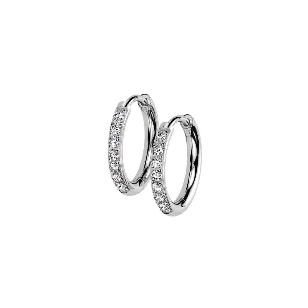Timeless Titanium Hoop Earrings