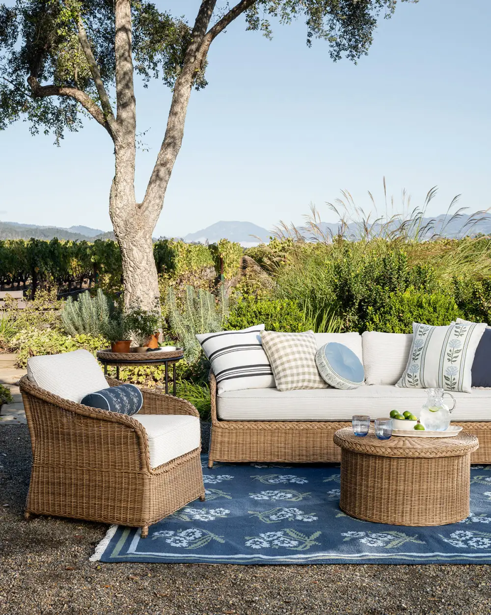 Bordered Handwoven Indoor-Outdoor Area Rug