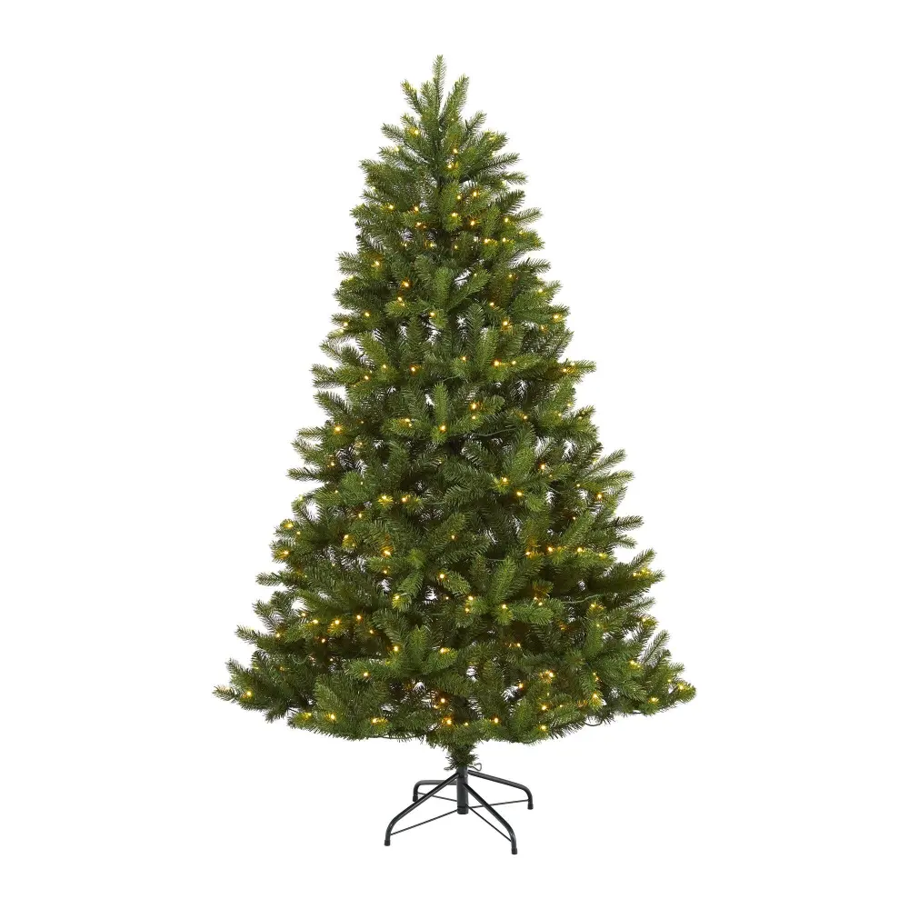 New Haven Spruce 