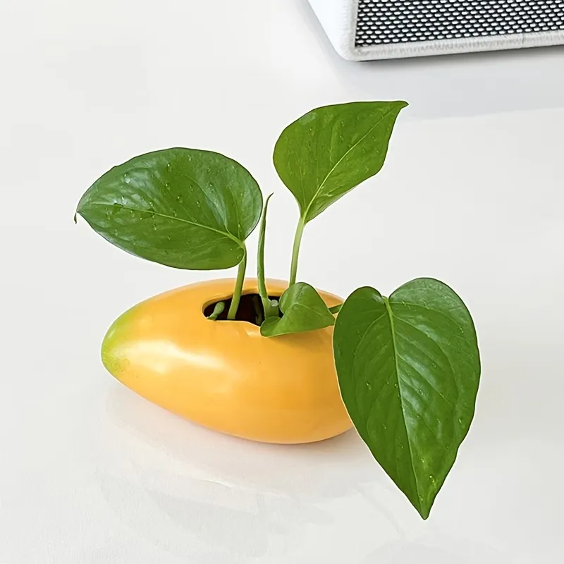 Mango-Shaped Vase