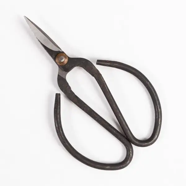 Traditional Garden Flower Scissors
