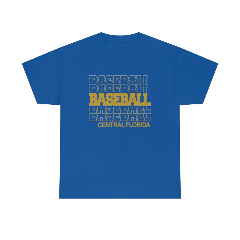 Baseball Central Florida in Modern Stacked Lettering