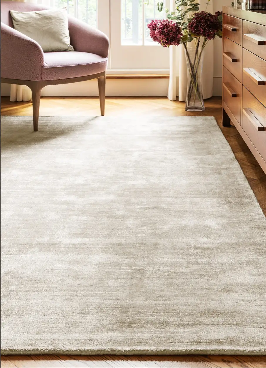 Hand-Woven Viscose Area Rug