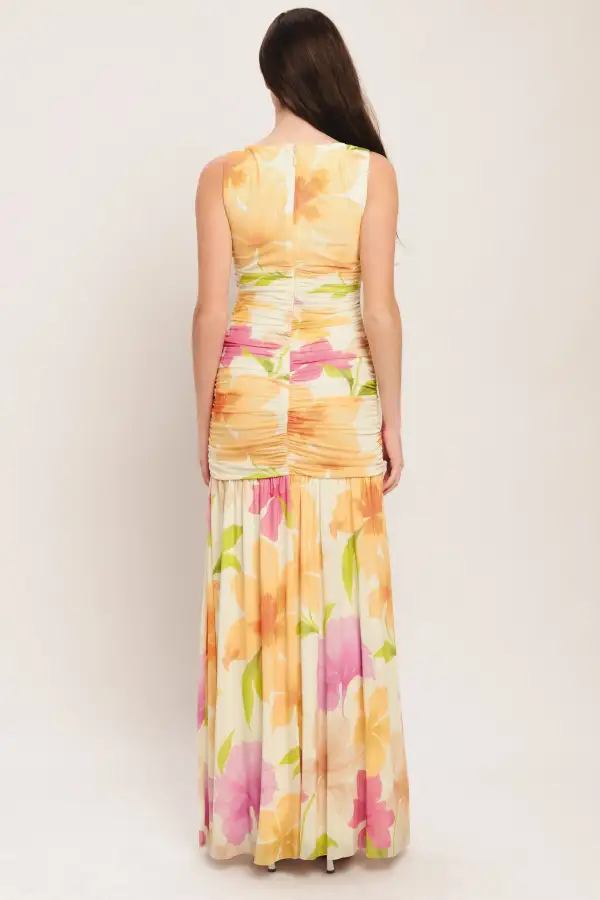 Sleeveless Mesh Printed Maxi Dress