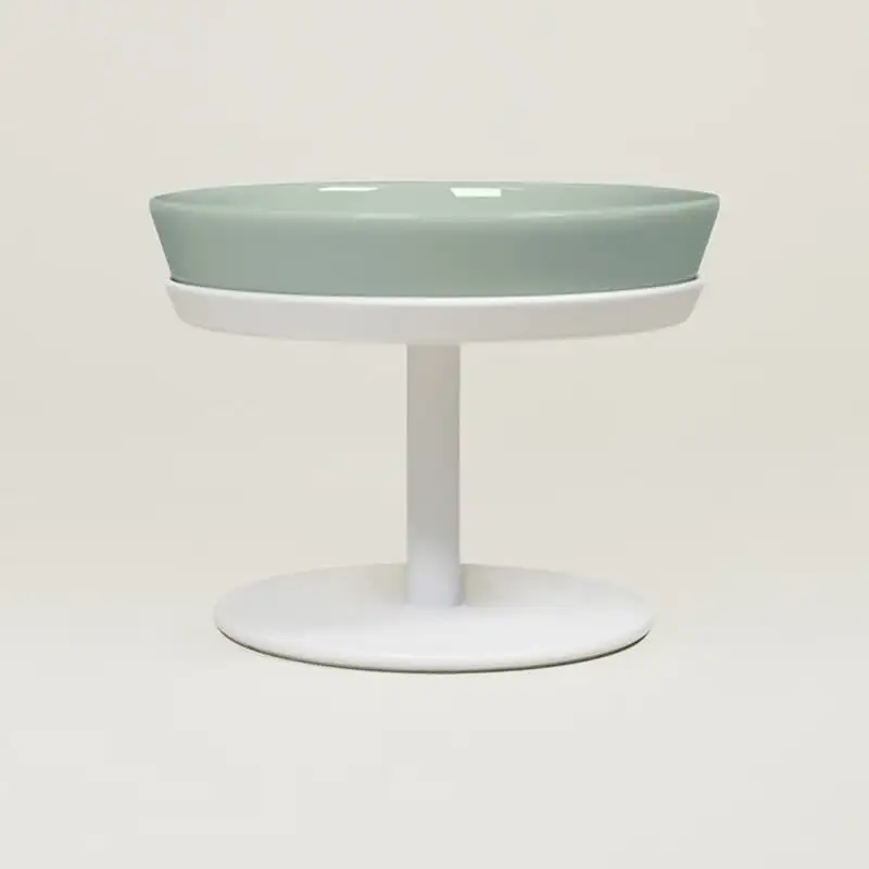 Raised Pet Bowl Stand Set