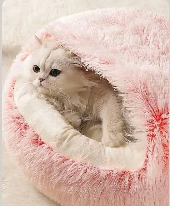 Attached Blanket Donut Pet Bed