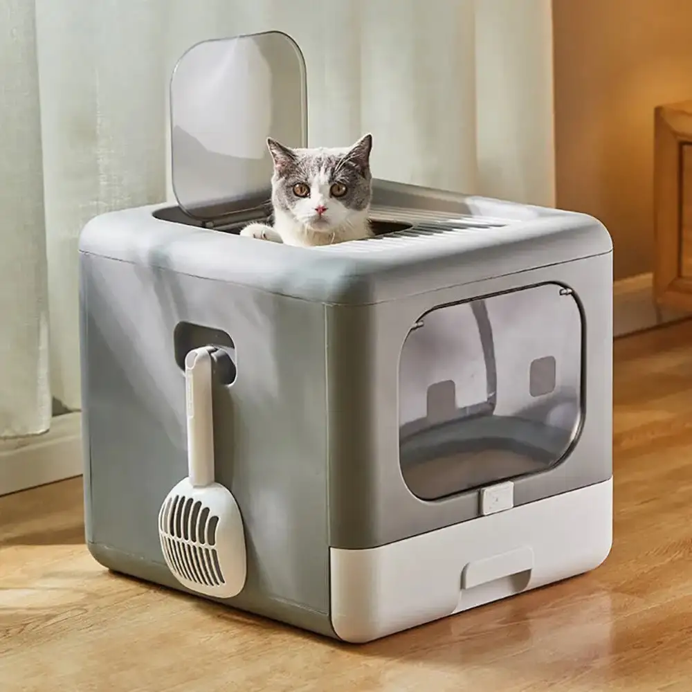 Practical Cat Care Station