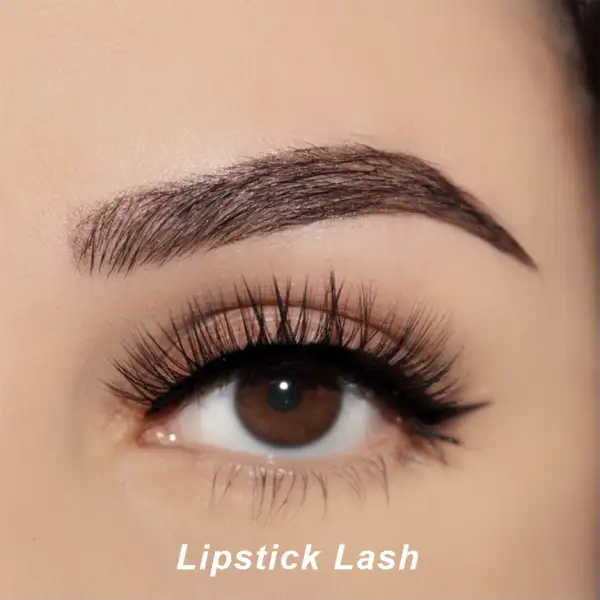 Wispy Lift Magnetic Lash Set