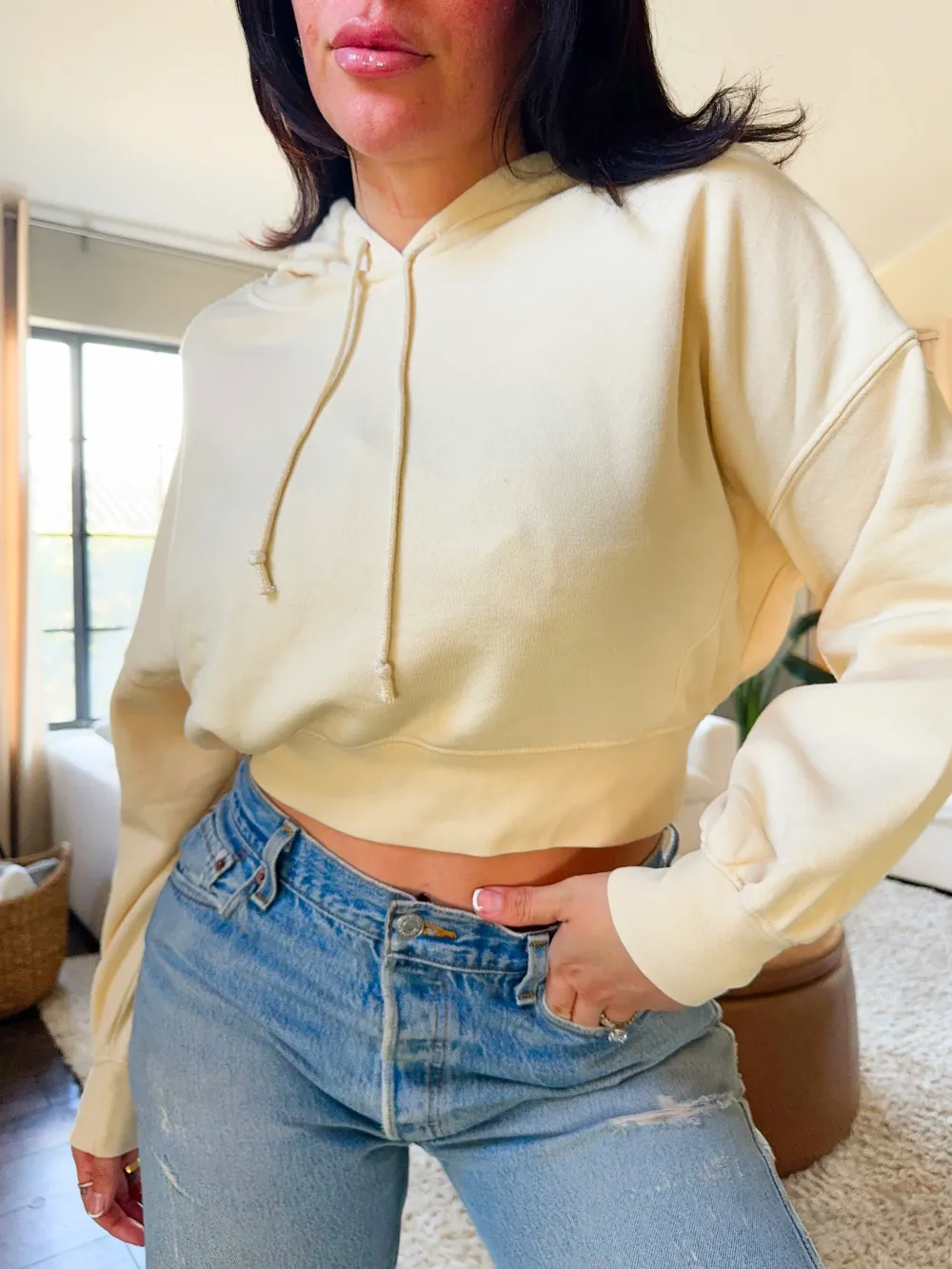 Alpaca Wool Pullover Hoodie