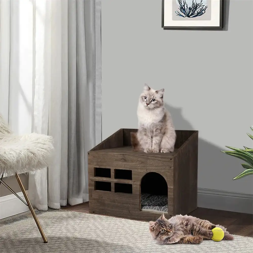 Clean Cat Litter Solution