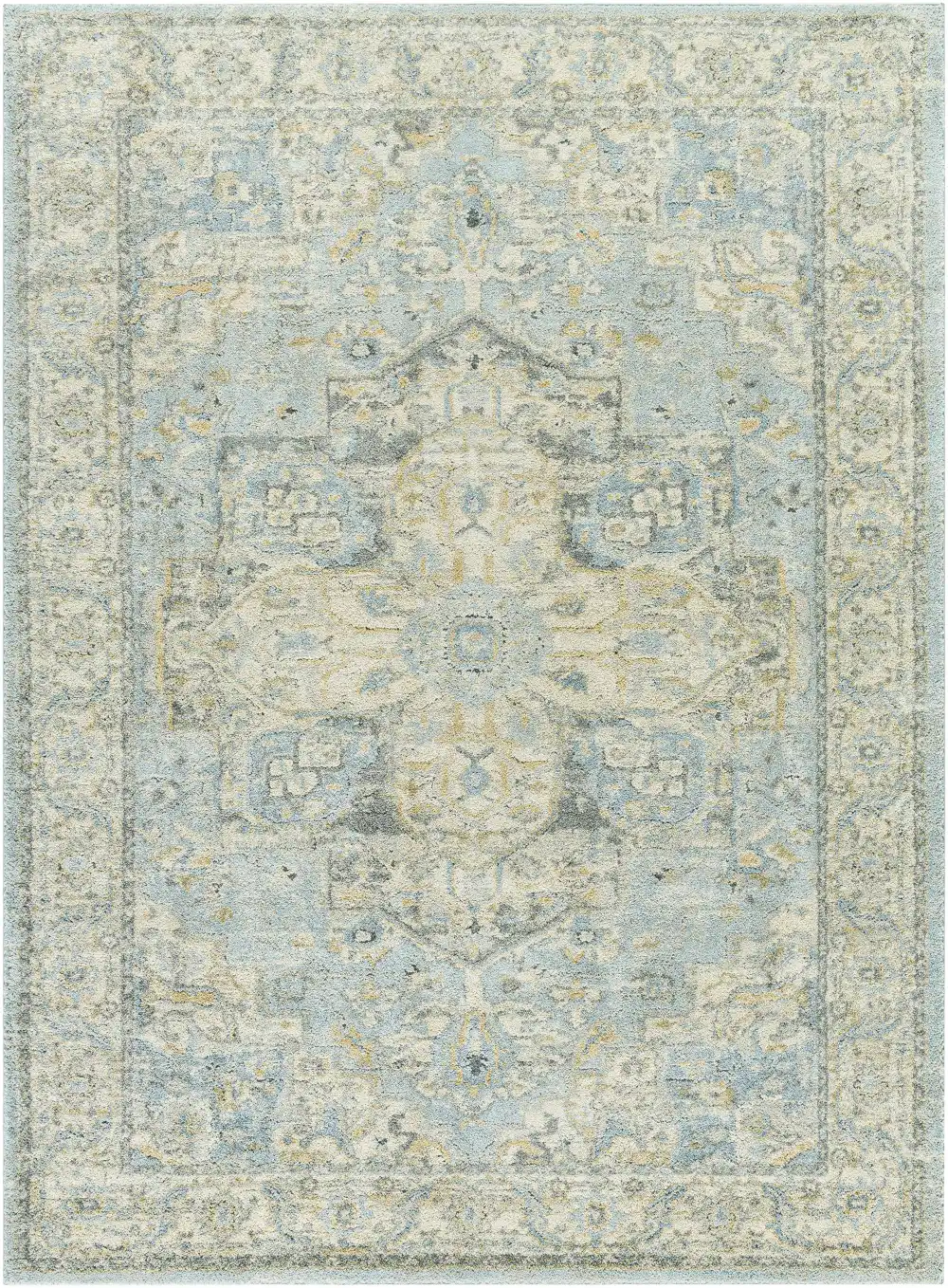 Relaxed Traditional Polypropylene Area Rug