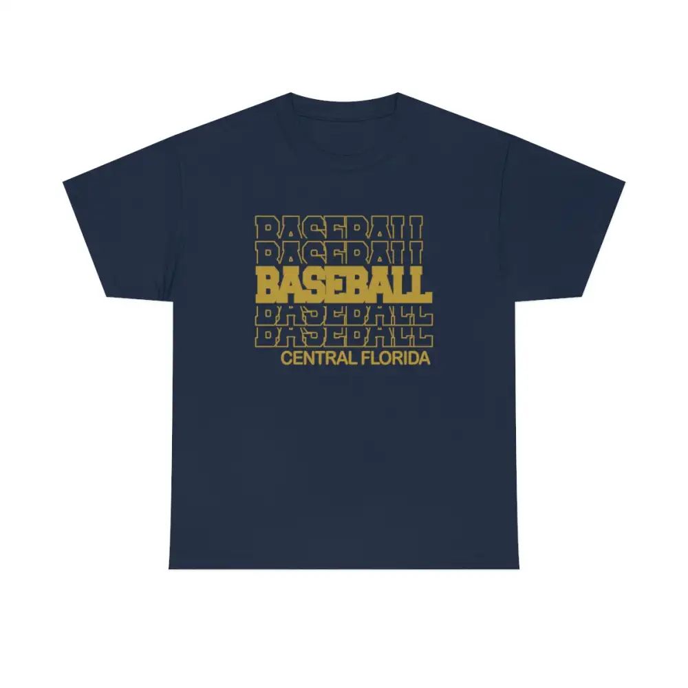 Baseball Central Florida in Modern Stacked Lettering