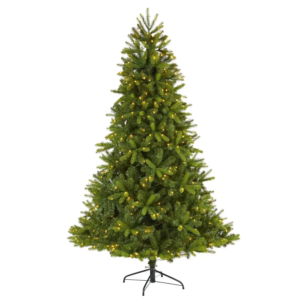 New Haven Spruce 
