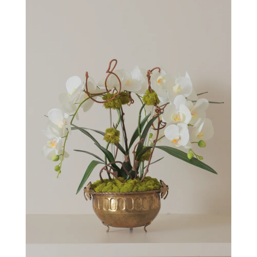 Brass Footed Orchid Arrangement