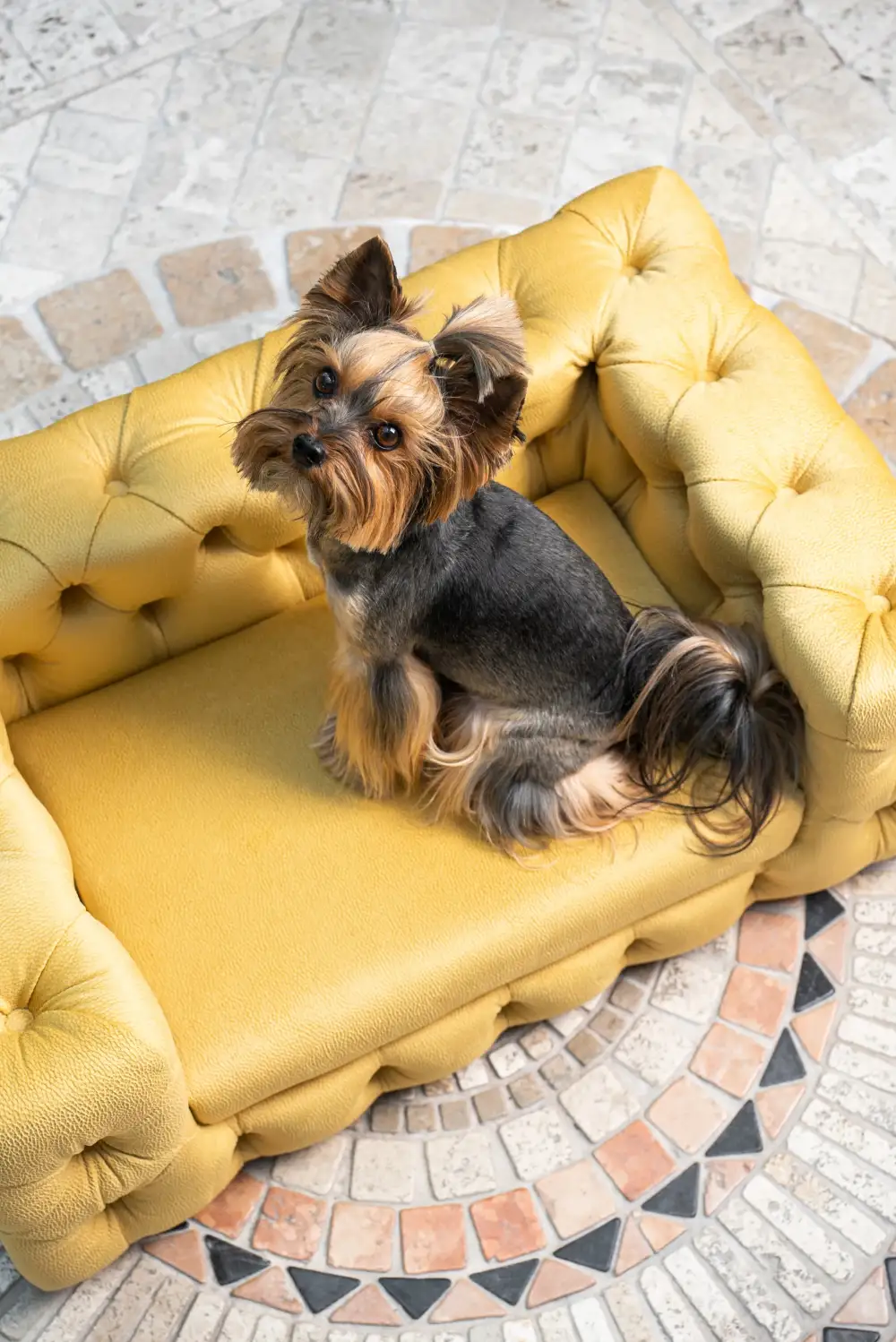 Elegant Pet Lounge Sofa