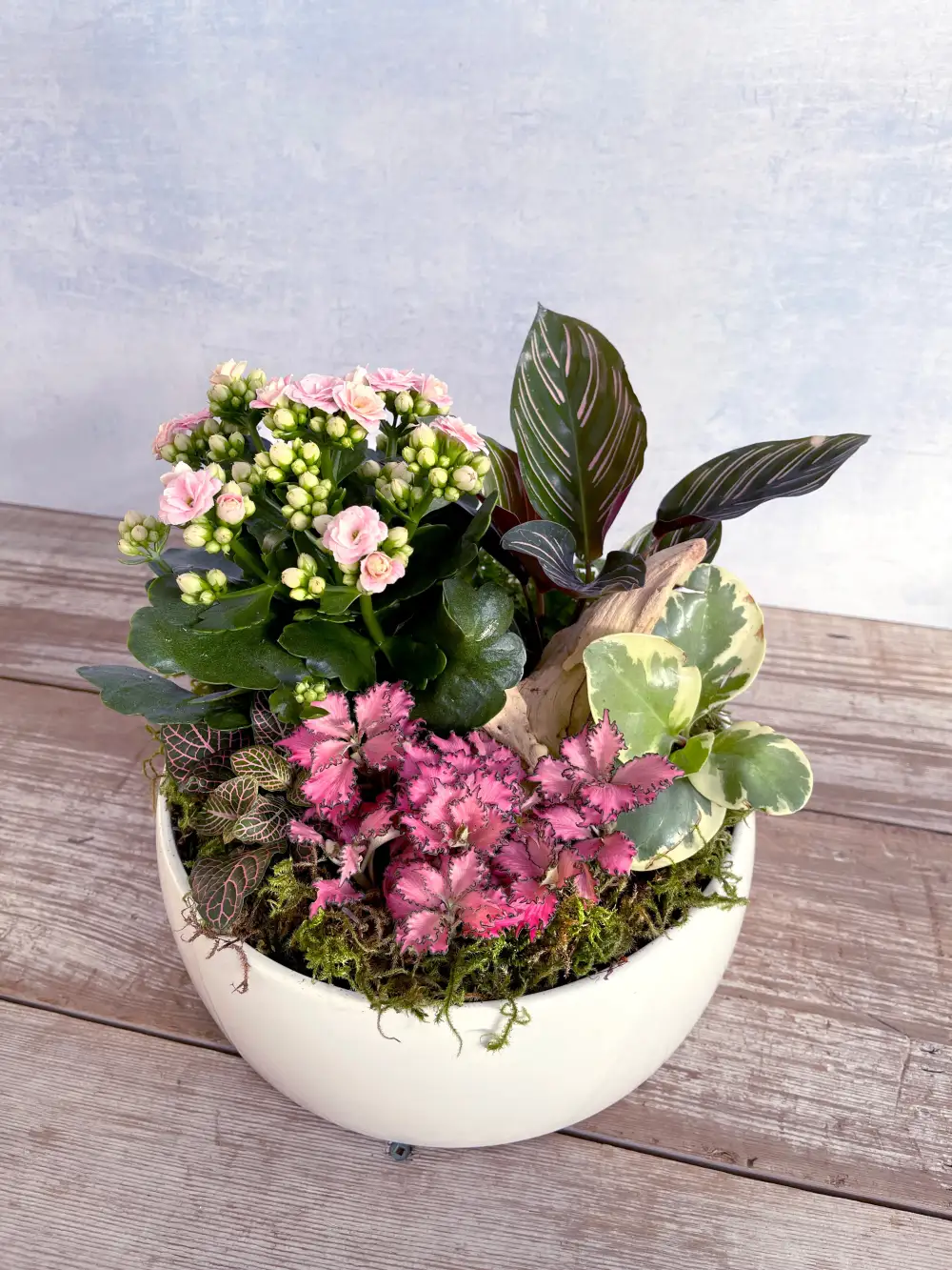 Tropical Indoor Garden Planter
