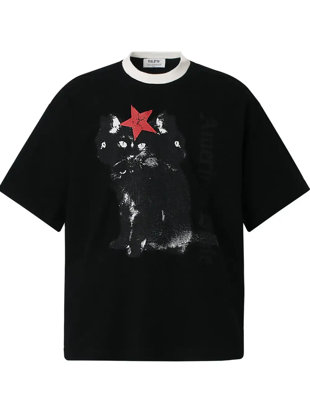 Loose Fit Graphic Crew Neck Oversized Tee