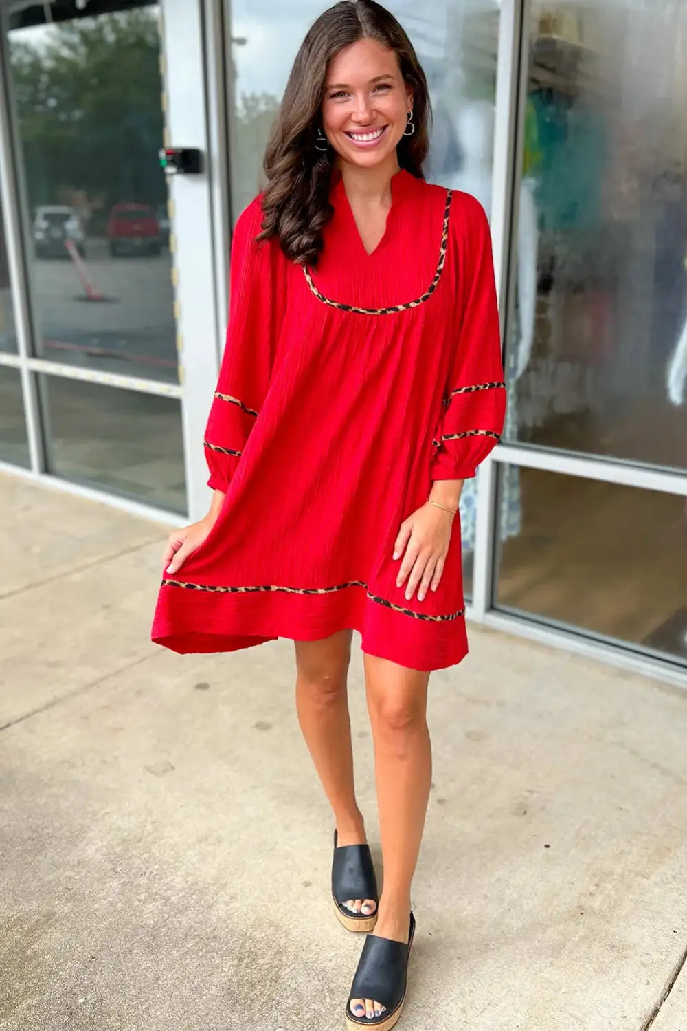 Lightweight Feel Animal Print V Neck Long Sleeve Mini Dress