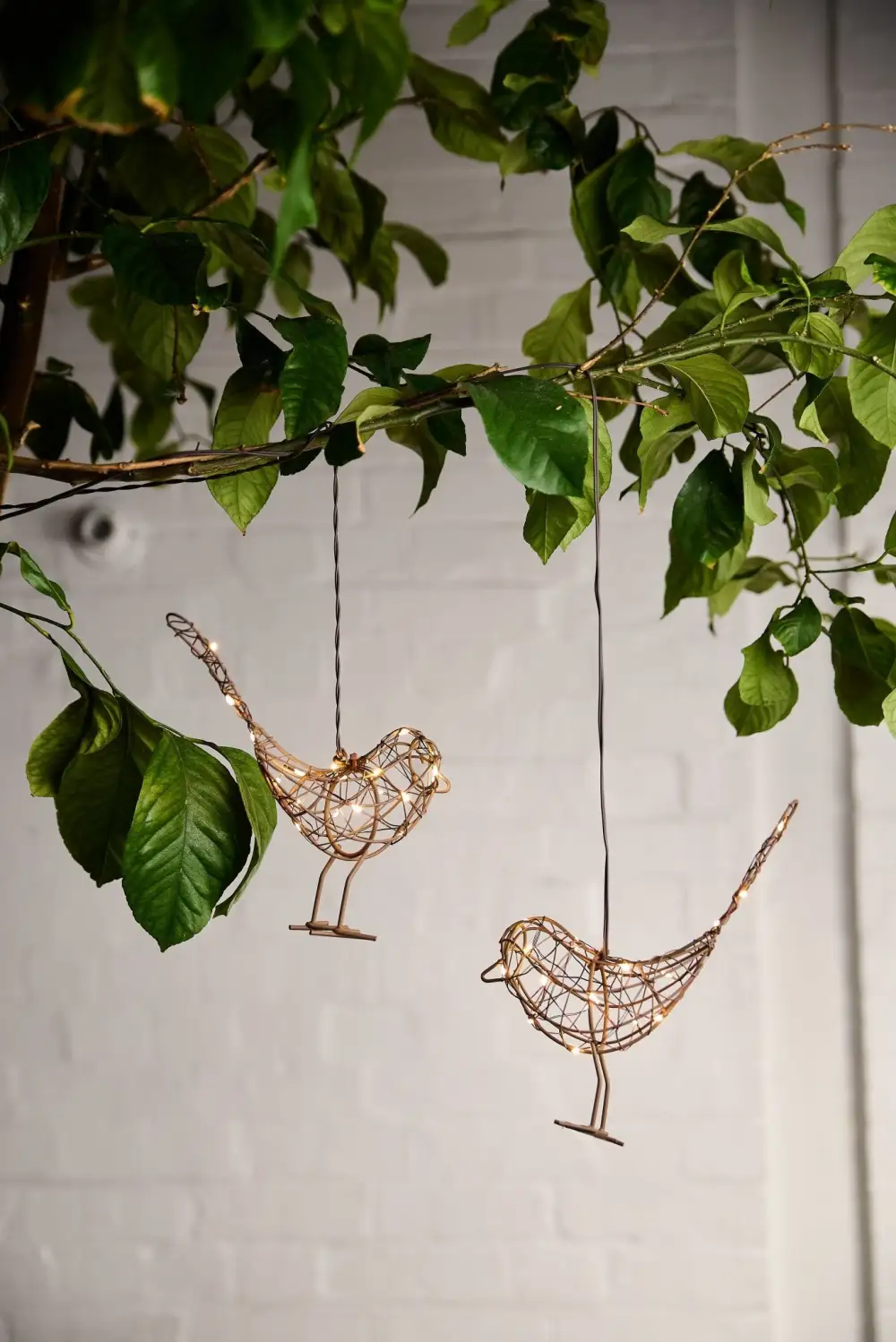 LED Hanging Decorative Light
