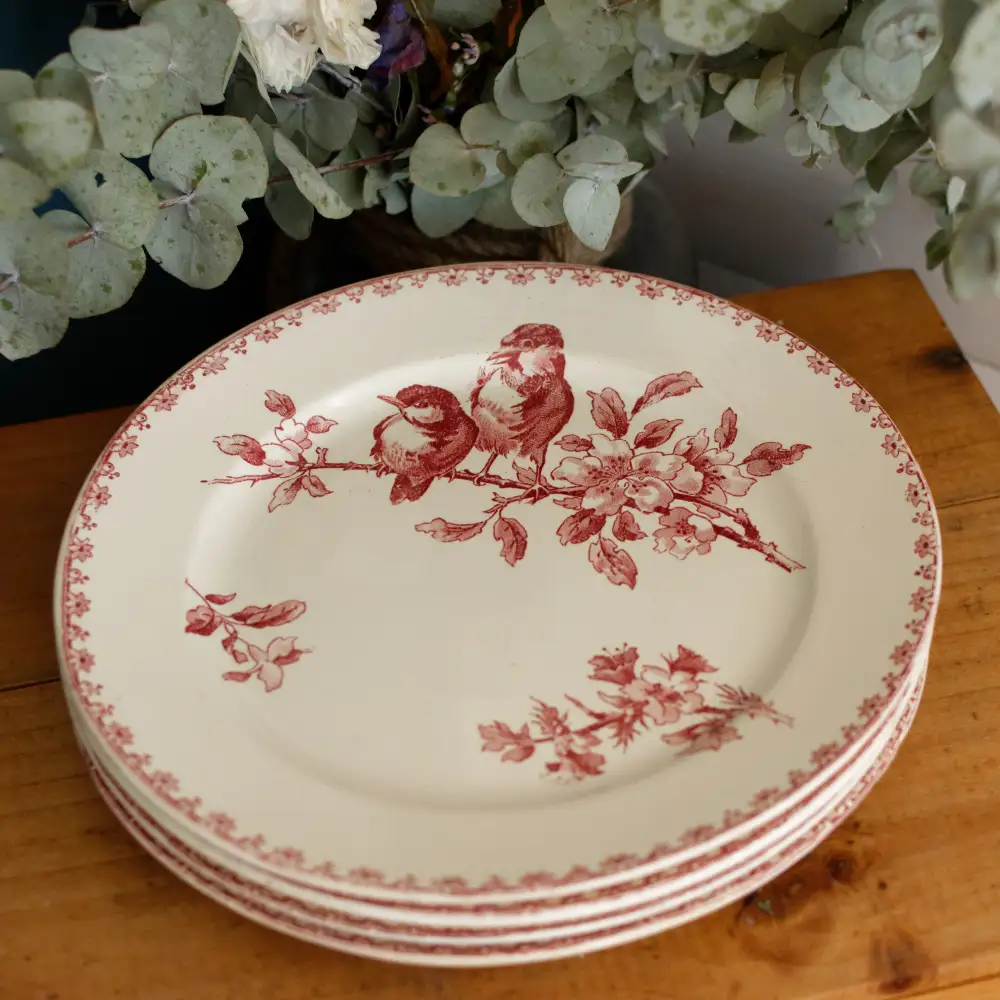 Collected Transferware Dinner Plate
