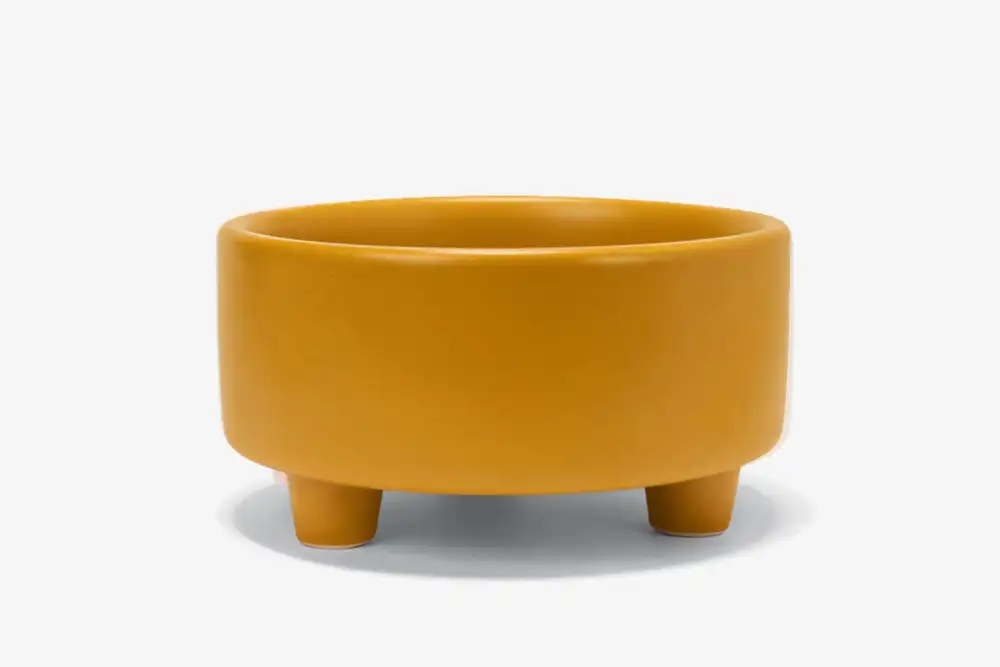 Footed Ceramic Dog Bowl