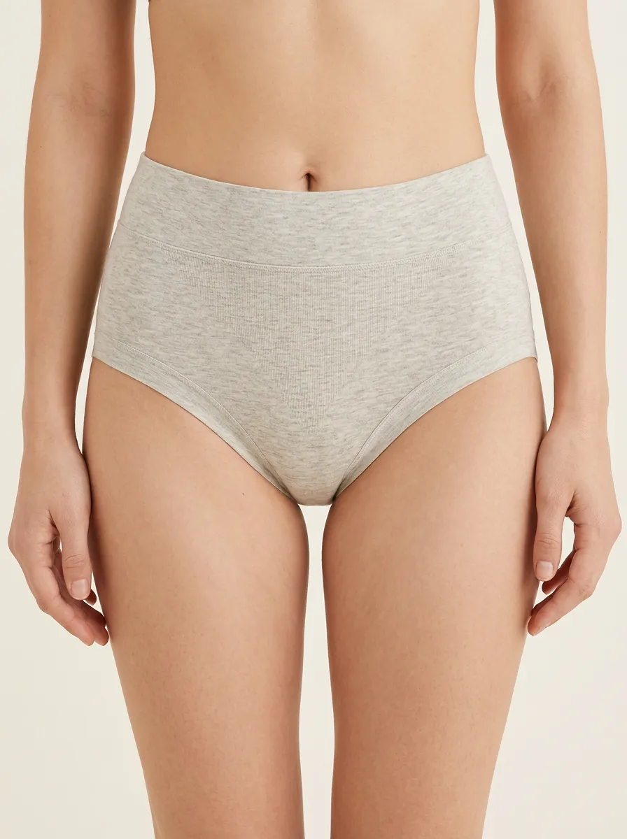 Classic Seamless High-Waisted Heathered Edit Women's Panties