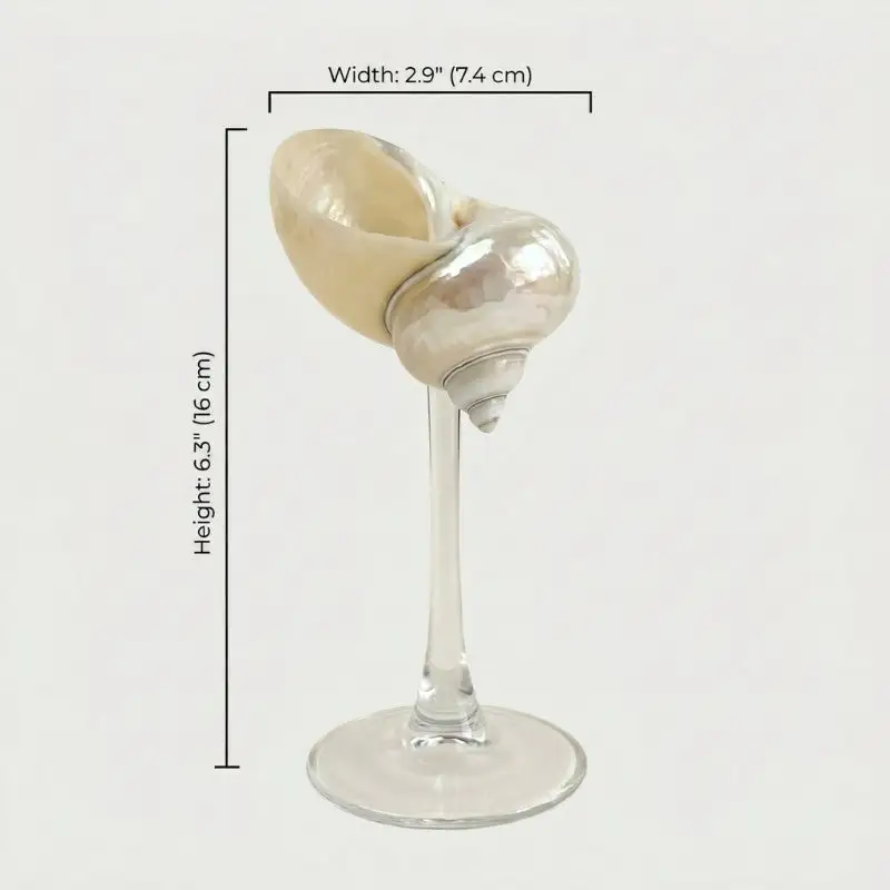 Textured Everyday Serving Seashell Glasses