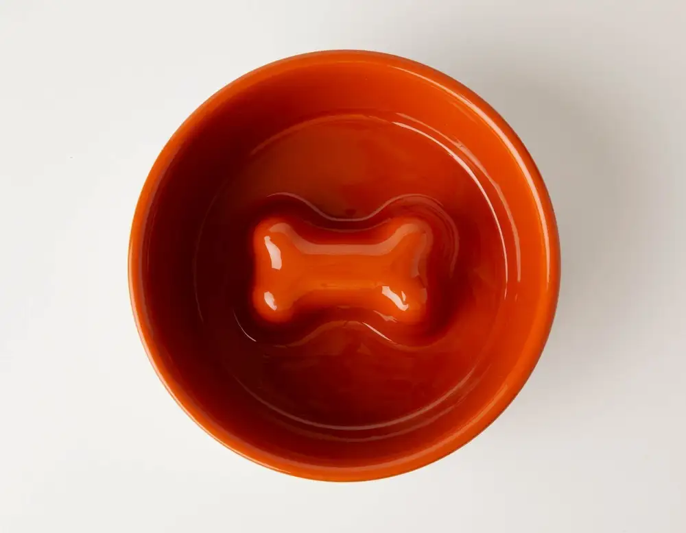 Slow Feeding Pet Bowl Style