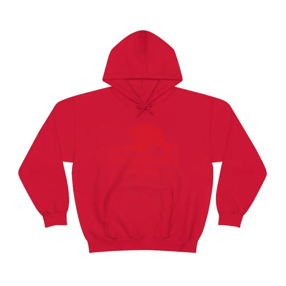 Everyday Practice Day Wrestling Graphic Pullover Hoodie