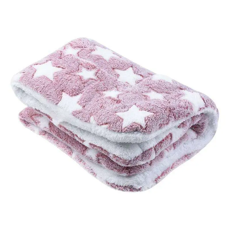 Plush Velvet Pet Blanket