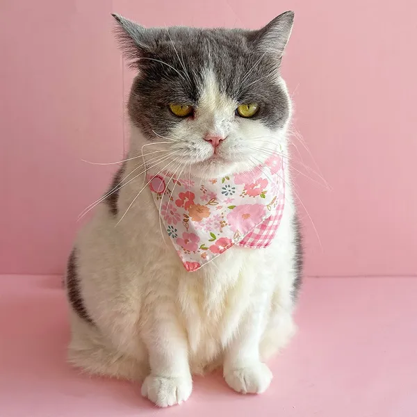 Cat Pet Bandana Scarf