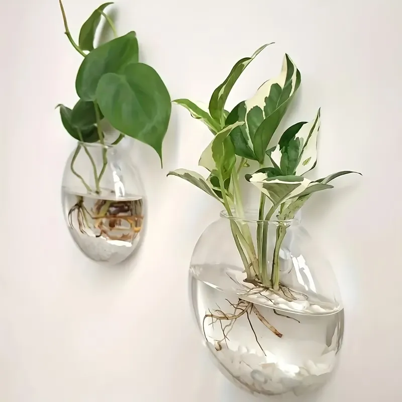 2 Pcs Round Glass Wall Vase