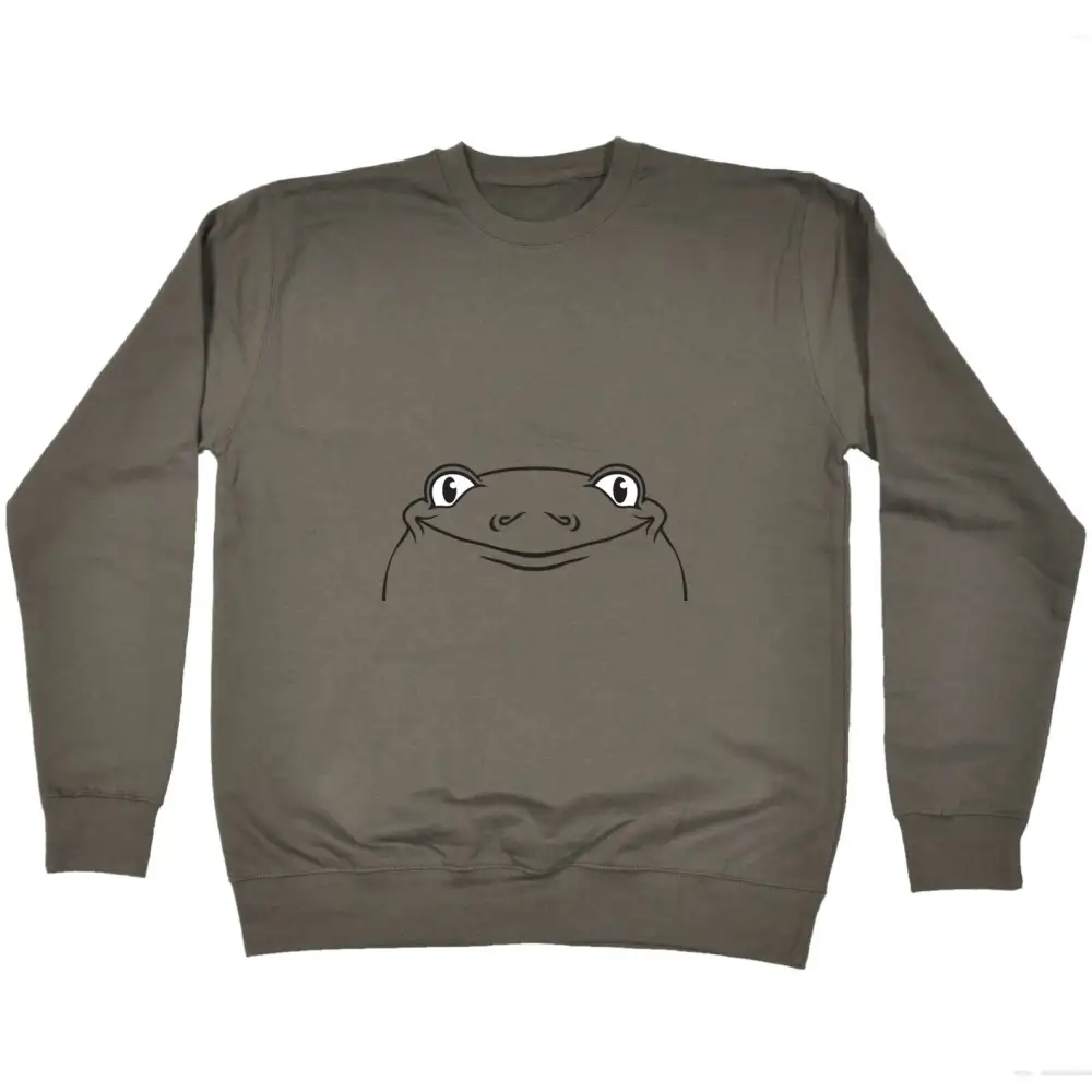 Frog Face Graphic Sweatshirt