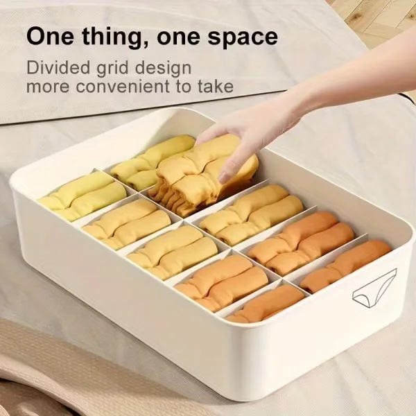 Closet Underwear Organizer Set