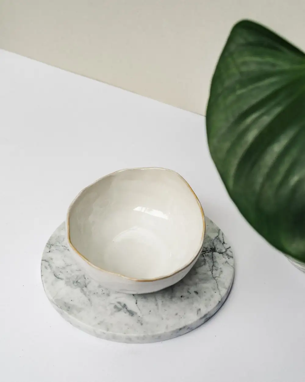 Porcelain Tableware Selection