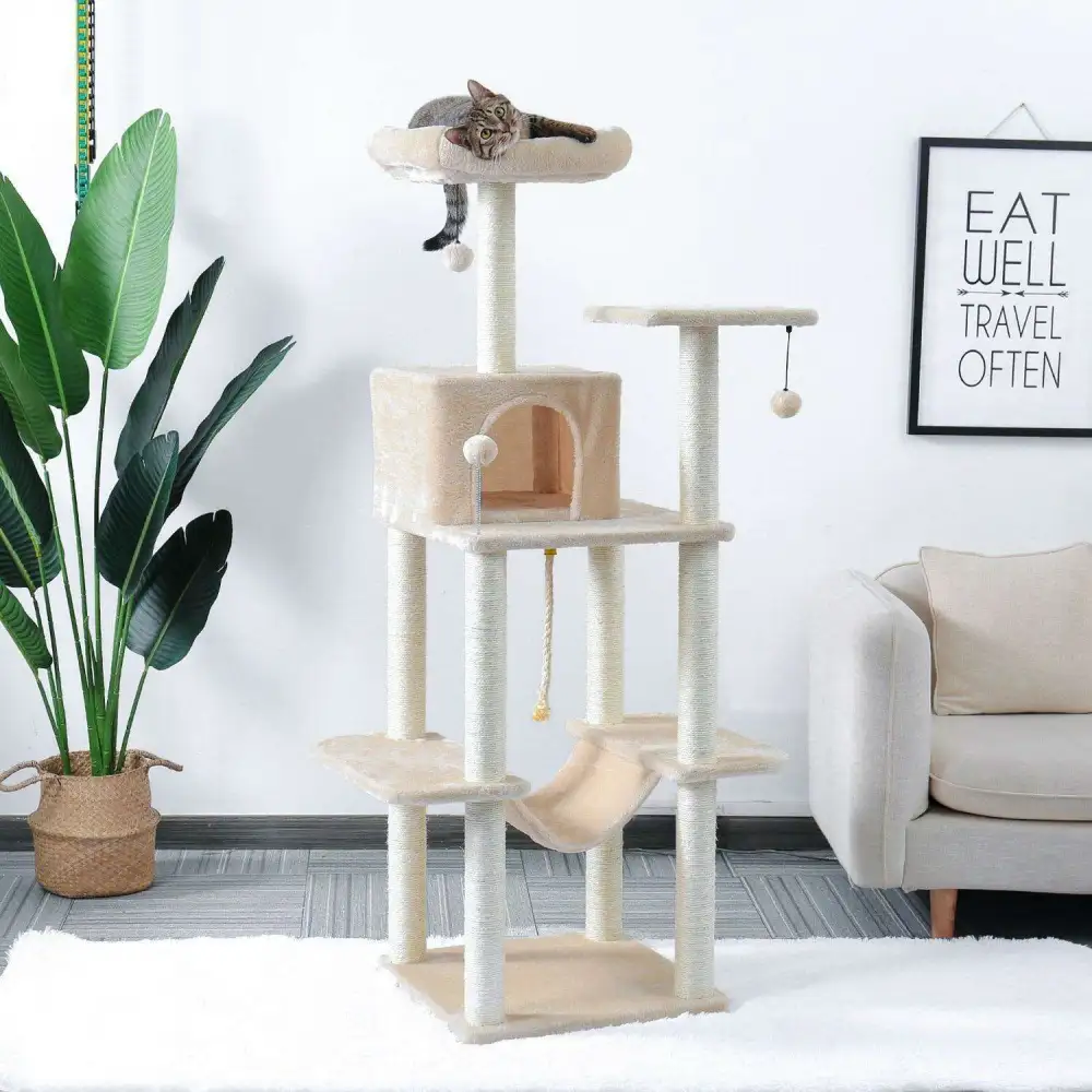Plush Scratch Home Furniture